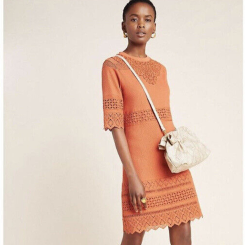 NWT Anthropologie Aryessa Poet Sleeve Dress